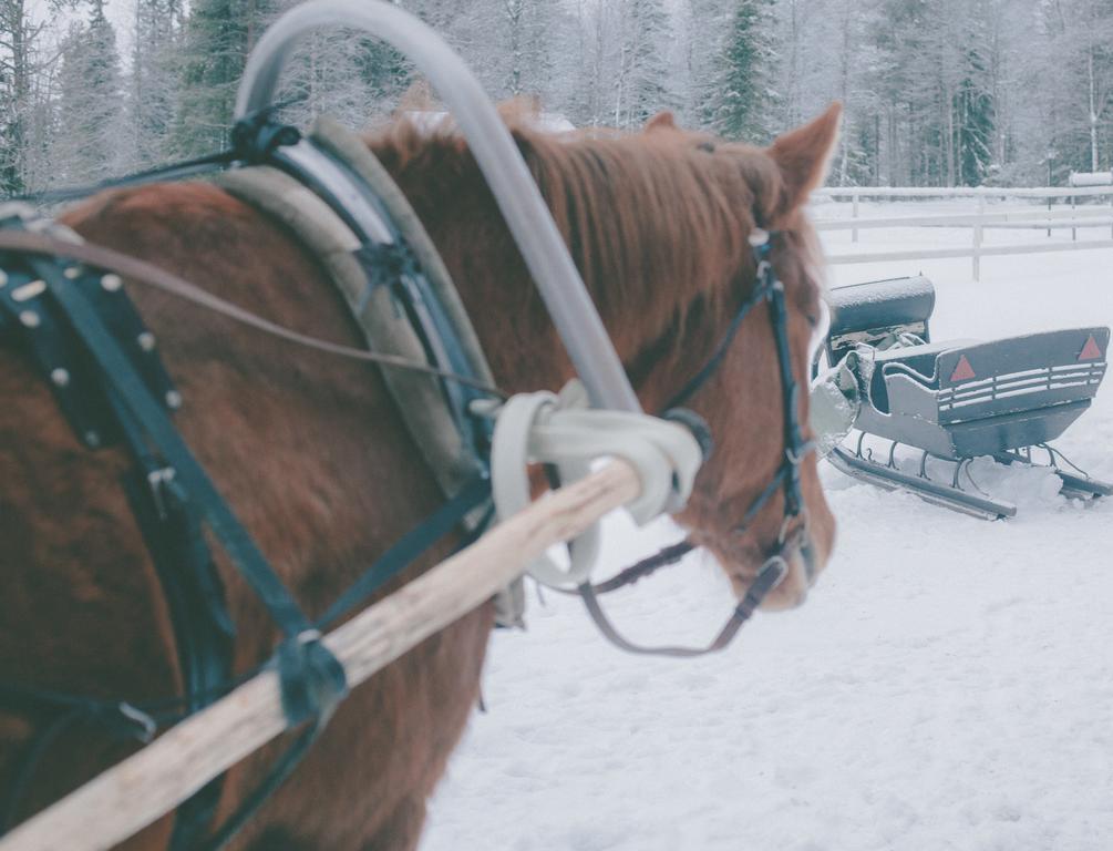 Petaejaekylae Vila Kuusamo Quarto foto