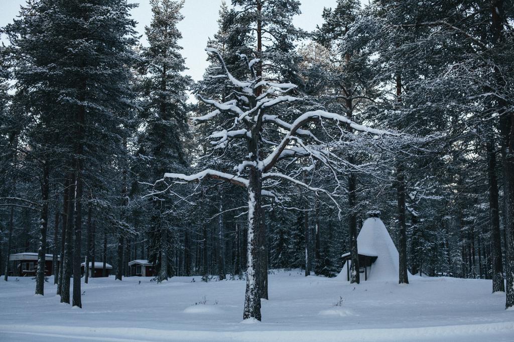 Petaejaekylae Vila Kuusamo Quarto foto